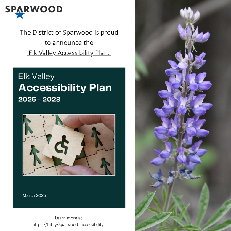 Elk Valley Accessibility Plan