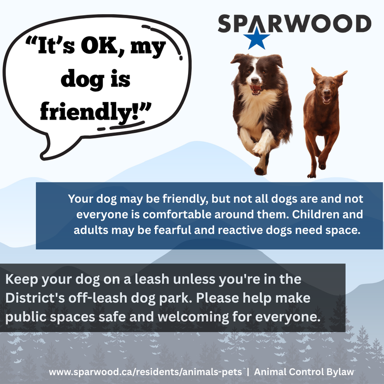 Please Keep Dogs Leashed