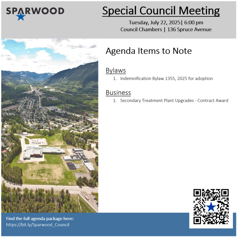 Special Council Meeting, July 22, 2025